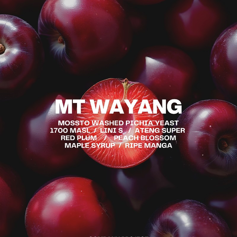 Mt. Wayang