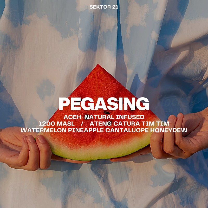 pegasing