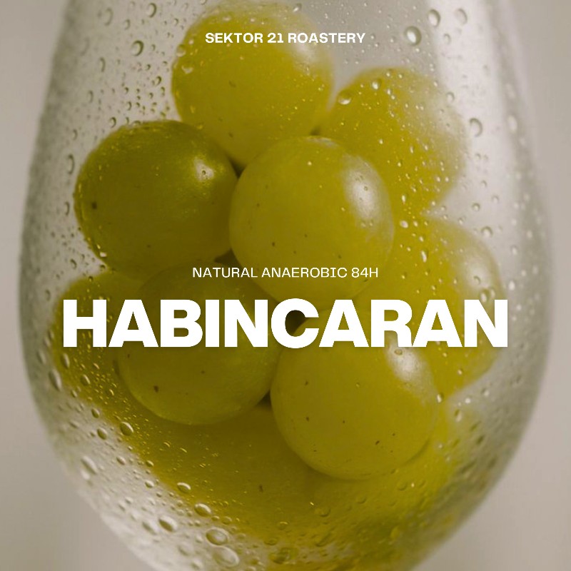 Habincaran