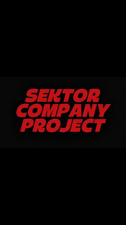 Sektor Company Project 3